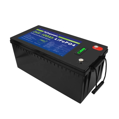 Baterai Lifepo4 100Ah 150Ah 200Ah 300Ah 24v Dengan Bms