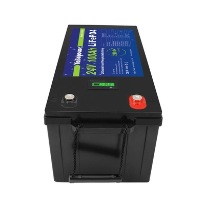 Baterai Lifepo4 100Ah 150Ah 200Ah 300Ah 24v Dengan Bms